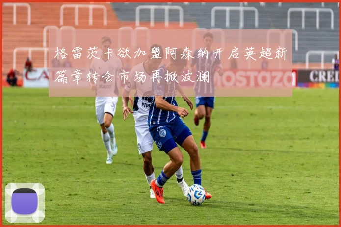 格雷茨卡欲加盟阿森纳开启英超新篇章转会市场再掀波澜